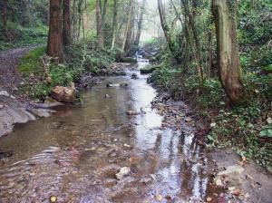 14 Ljubnica s pritoki (Foto 14, Arhiv ZRSVN OE Celje)